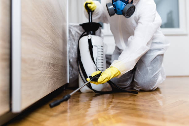 Trusted Kaukauna, WI Pest Control Experts