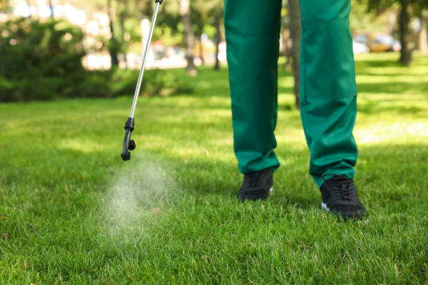 Best Rodent Control Near Me  in Kaukauna, WI