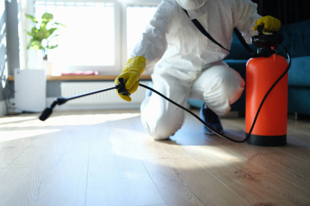 Best Flea Control Services  in Kaukauna, WI