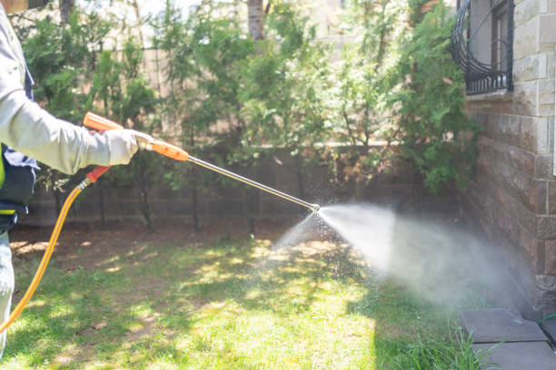 Wasp Removal Services in Kaukauna, WI