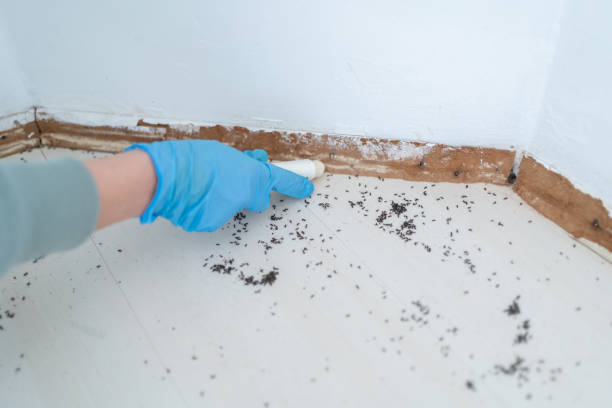 Pest Prevention Services in Kaukauna, WI